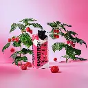 Smartfish Raspberry.webp